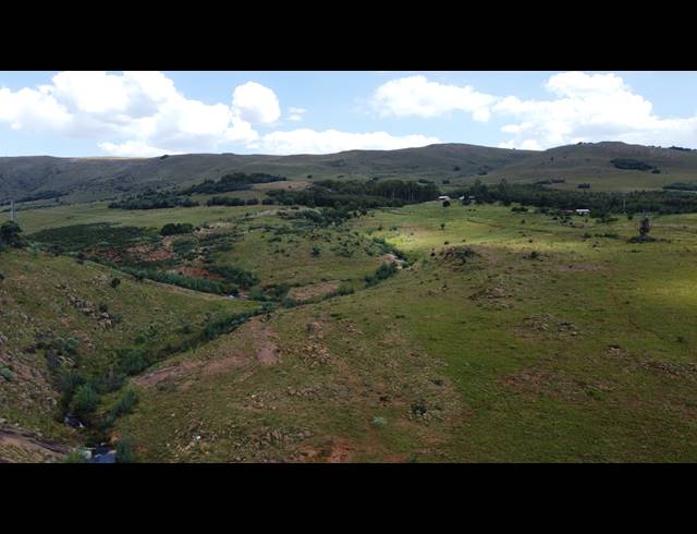 257HA FARM FOR SALE IN ROOSSENEKAL AH
